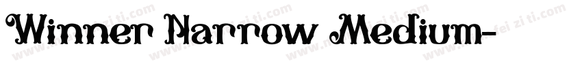 Winner Narrow Medium字体转换
